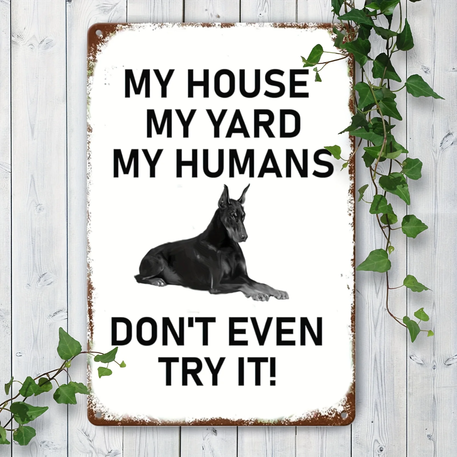 Vintage Doberman My House My H - Home Security In My Area recension och pris